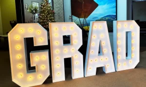 Channel Letter custom electric sign